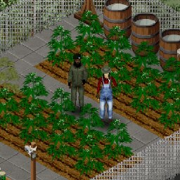 agricultura